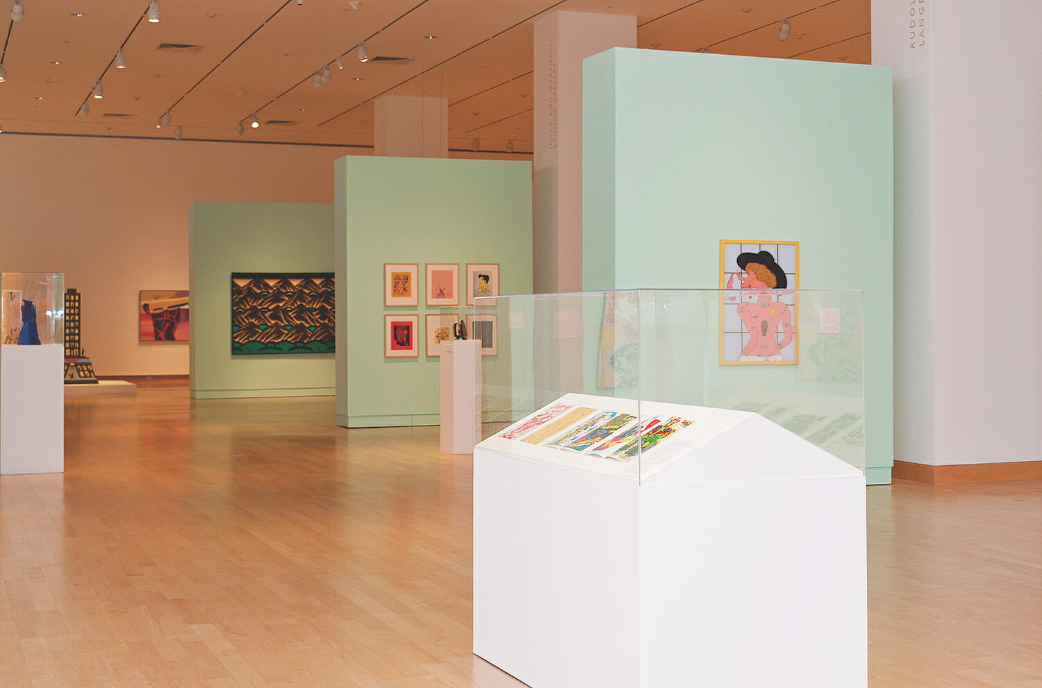 gallery installation view of the exhibition Chicago Imagists. at the forefront of the photo is a vitrine display case with various artworks or objects. artworks hang on the nearby walls.