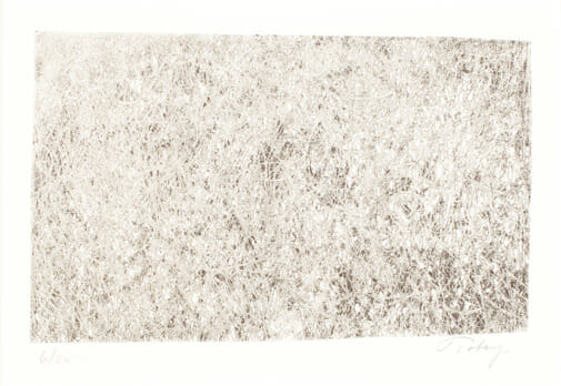 Untitled. Artist: Mark Tobey. Medium: lithograph.