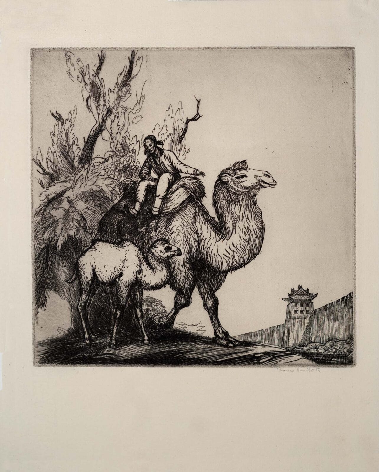Peking Camels. Artist: Thomas Scofield Handforth. Date: 1938. Medium: etching.