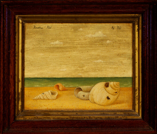 Still Life with Shells. Artist: John Wilde. Date: 1950. Medium: oil on panel.