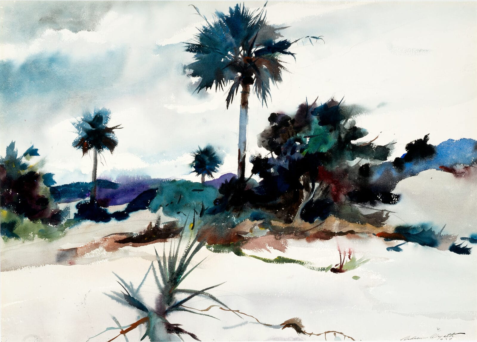Palmettos – Cat Island. Artist: Andrew Wyeth. Date: 1937. Medium: watercolor.