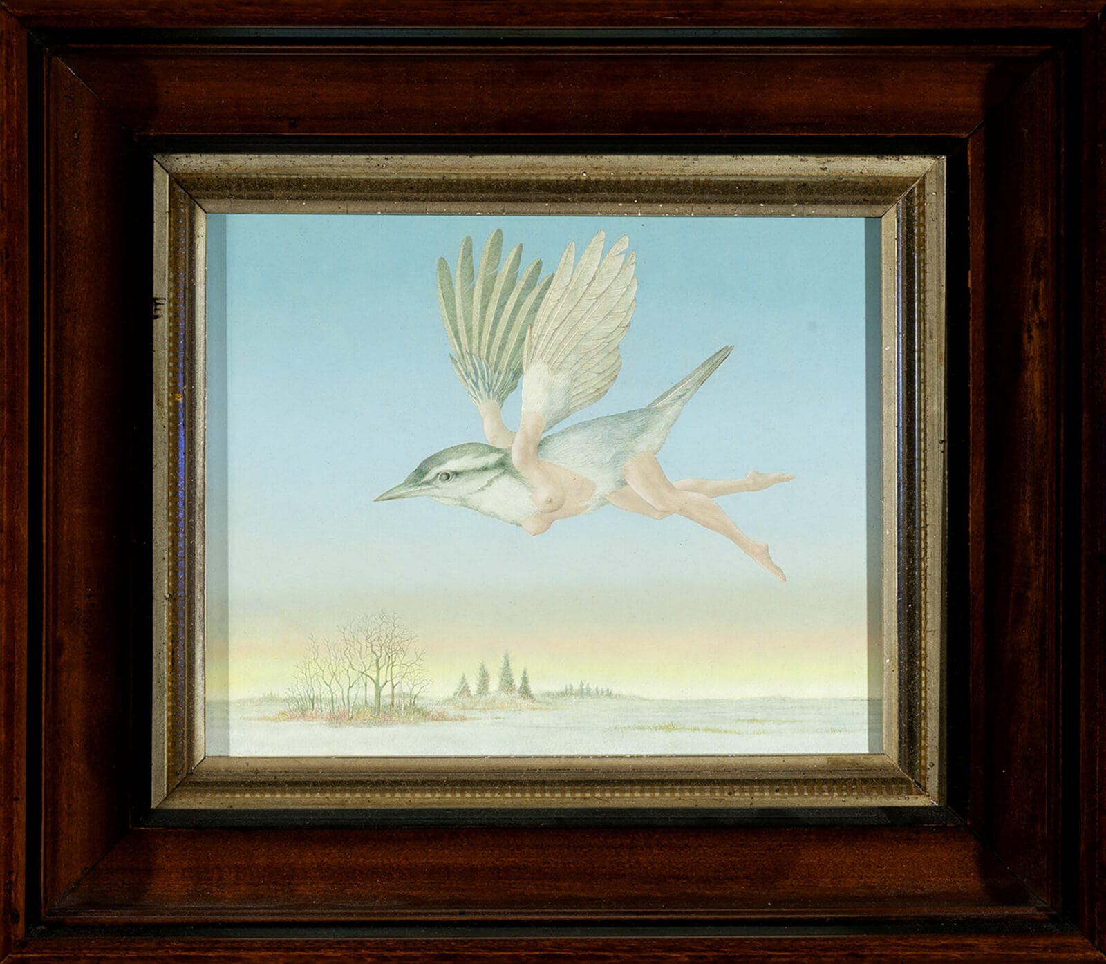 A Red-breasted Nuthatch. Artist: John Wilde. Date: 1982. Medium: oil on panel.