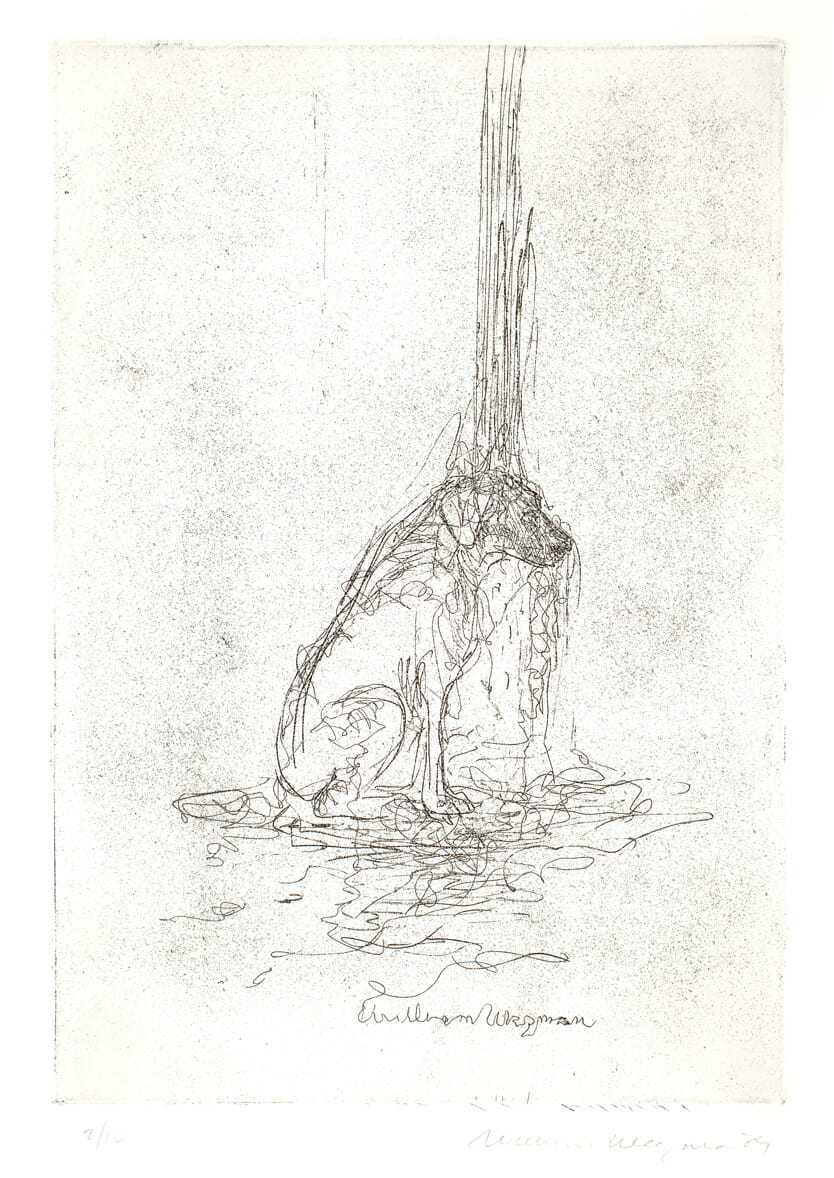 Dusted Transcription. Artist: William Wegman. Date: 1990. Medium: etching.