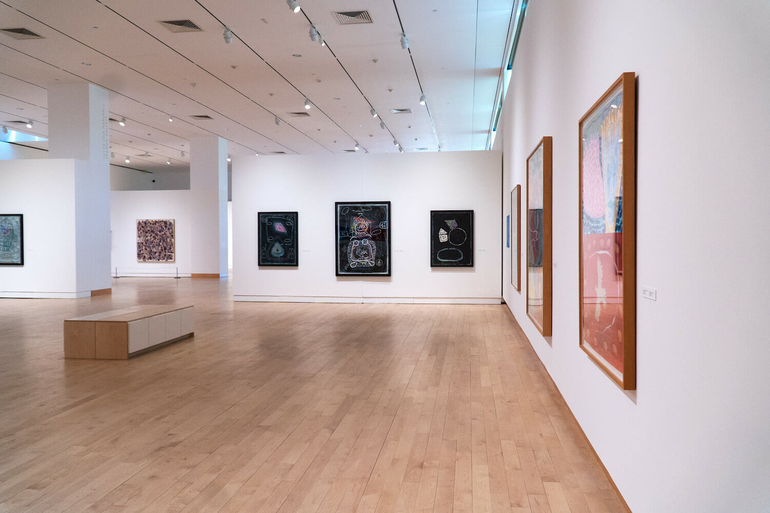Installation view of the exhibition Floyd Newsum: Evolution of Sight.