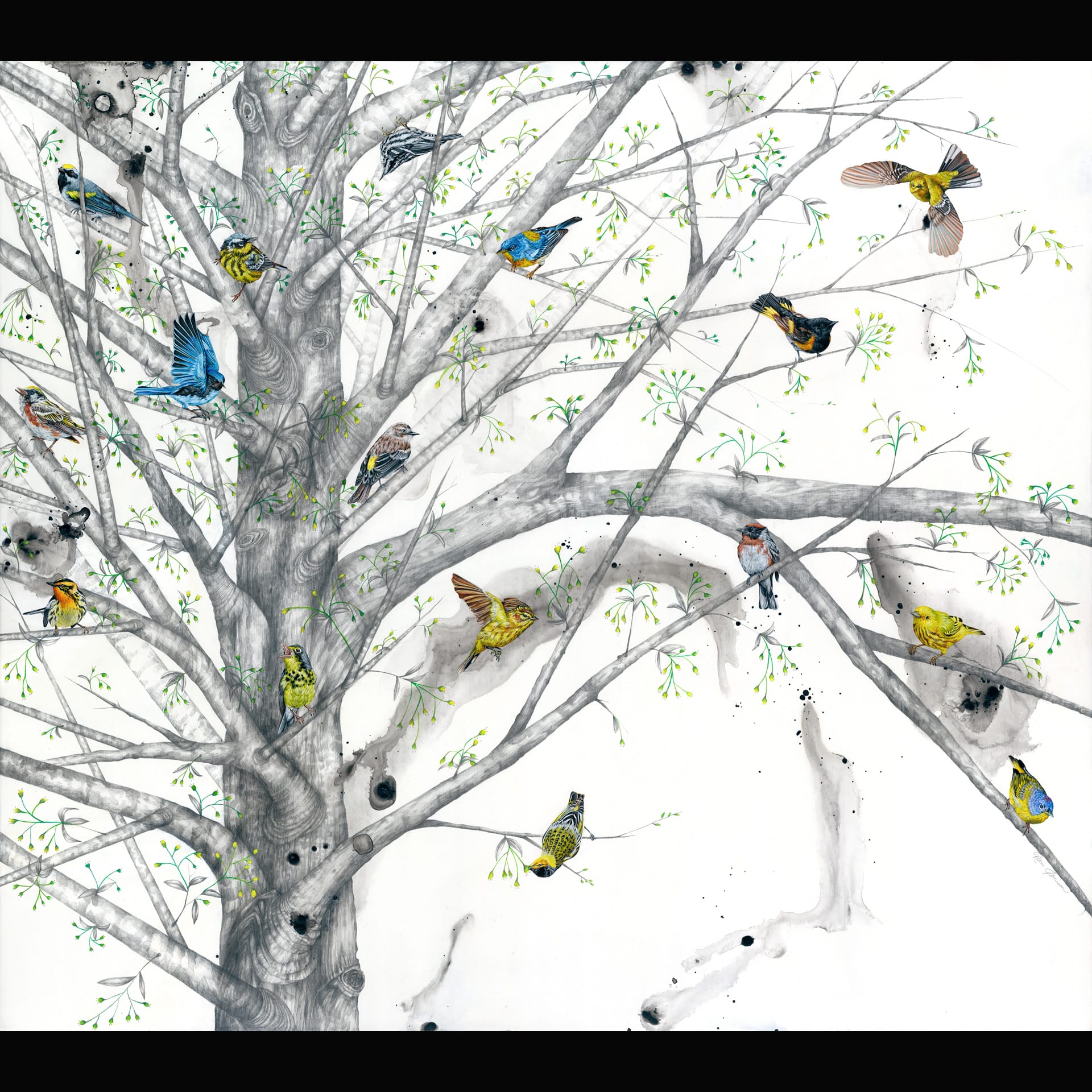 image of birds in a tree