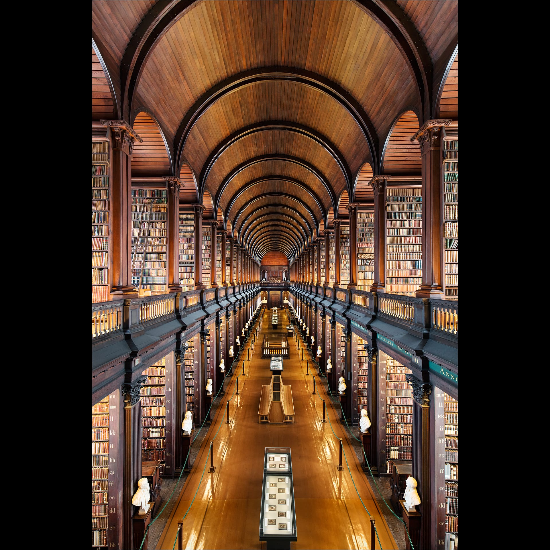 a photograph of a long library