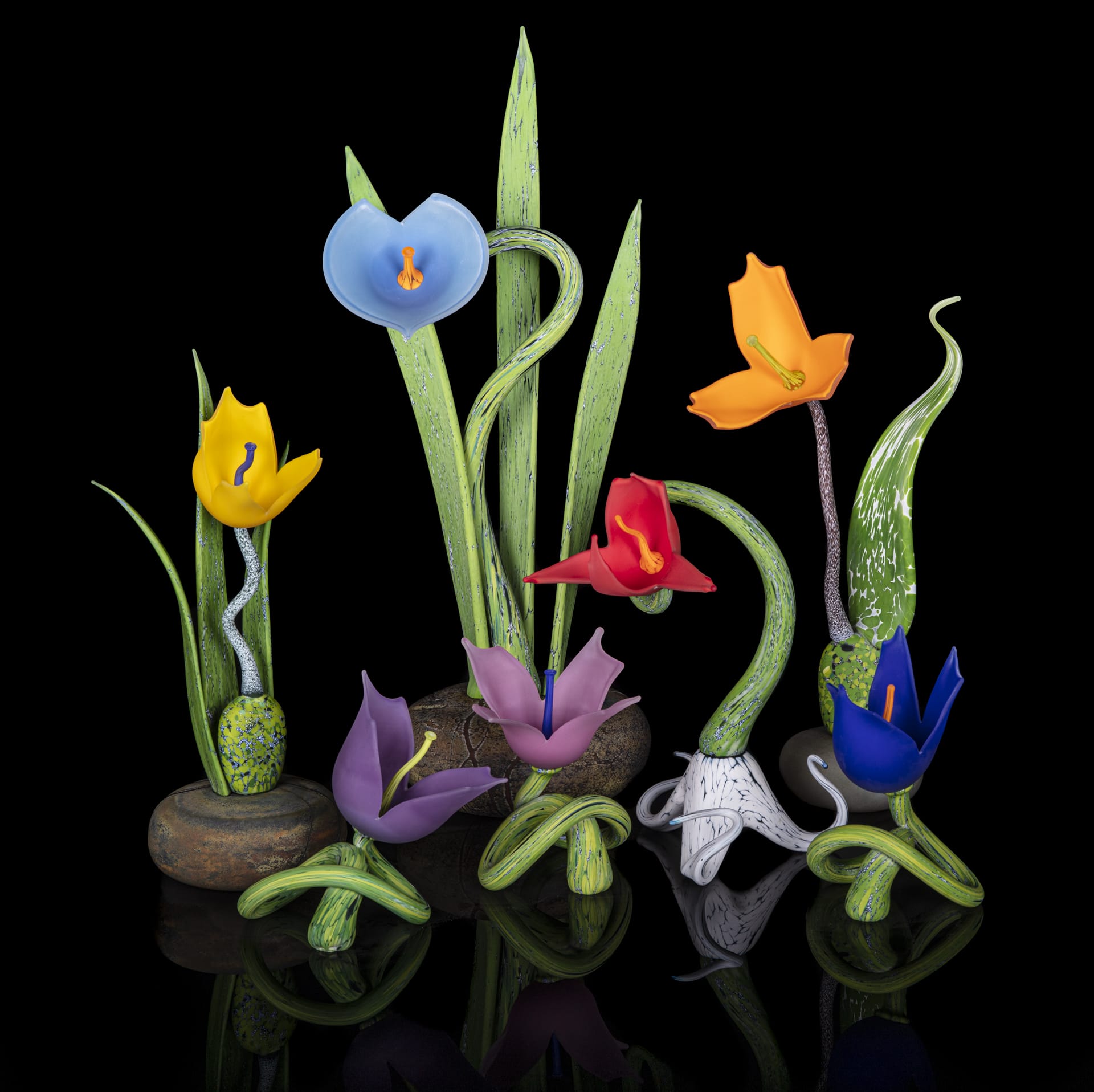 an assortment of glass flowers against a black backdrop