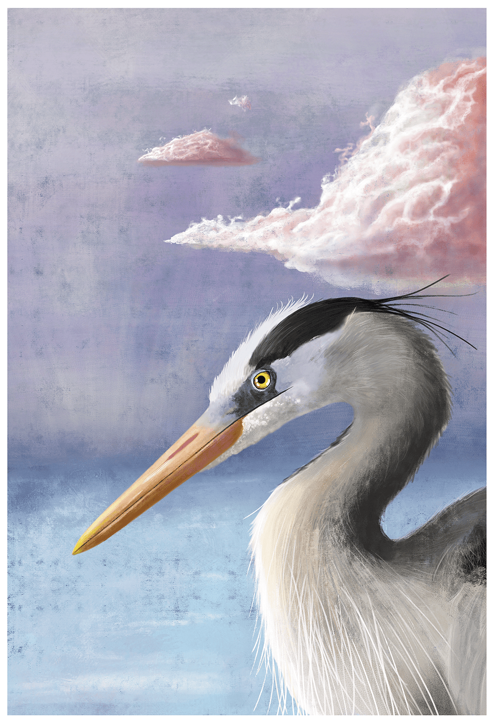 a large beaked bird and pink clouds.