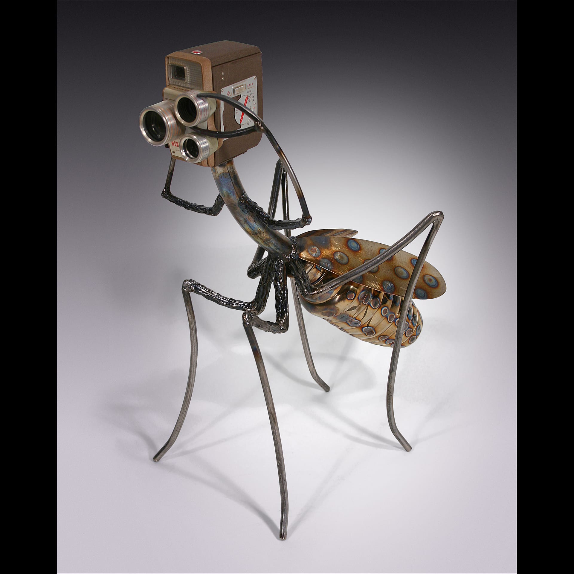 A sculpture of a bug with a camera for a head.