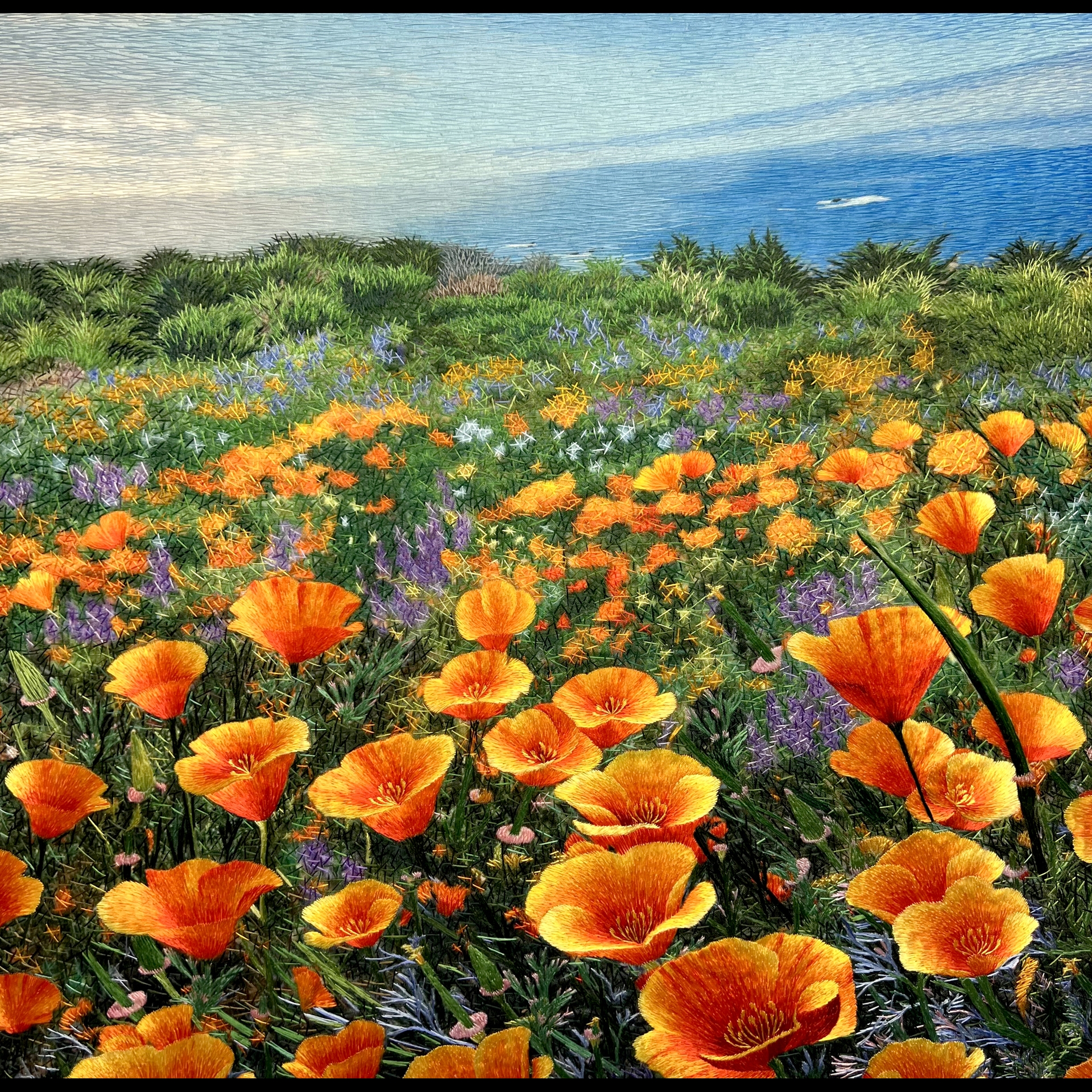 A field of orange flowers.
