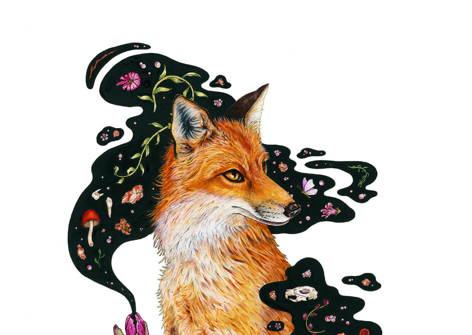 Drawing of a fox