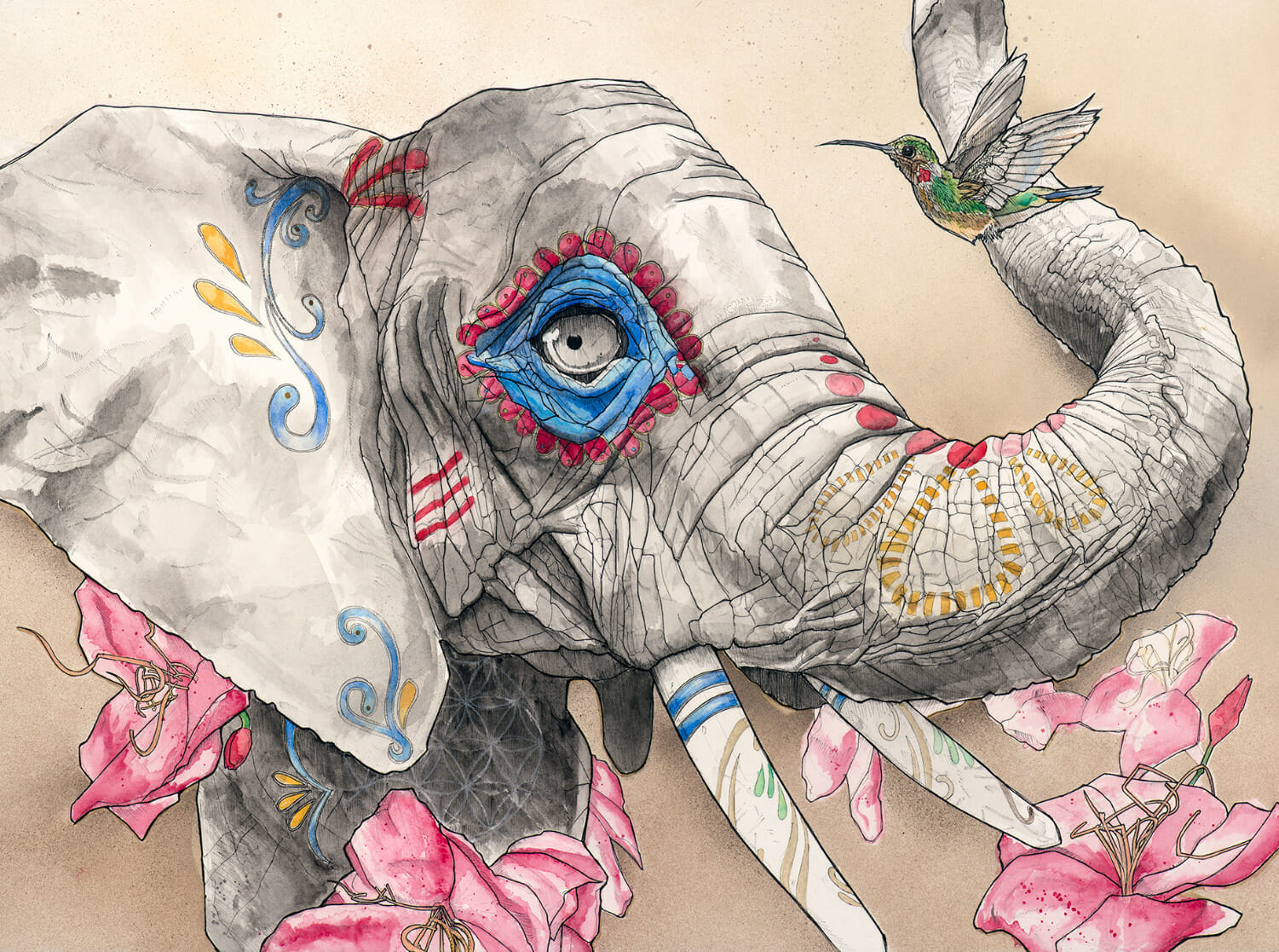 Pen and ink illustration of an elephant.