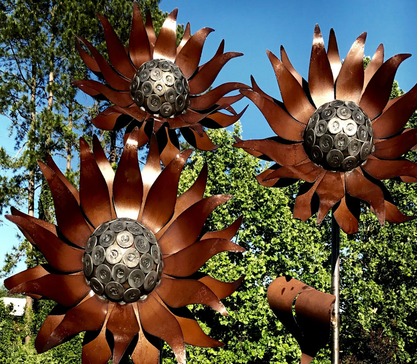 Sunflower steel metalwork set up outdoors.