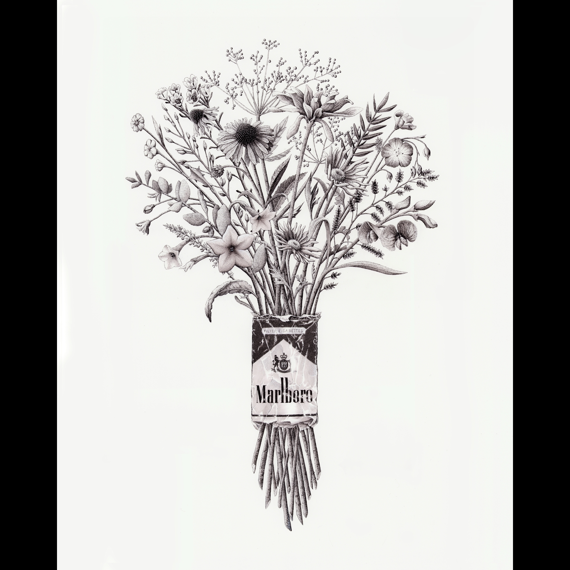 A bouquet of flowers coming out of a pack of cigarettes.