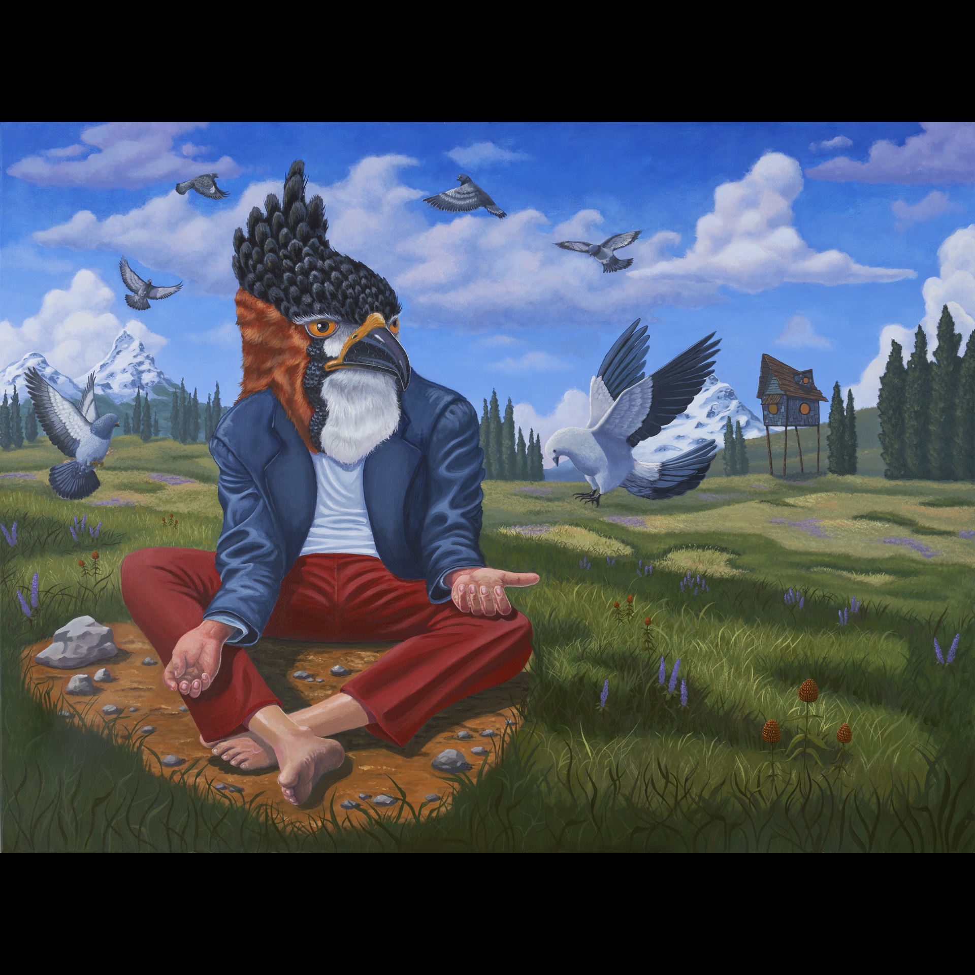 A man with a bird head sitting crisscrossed in a field.