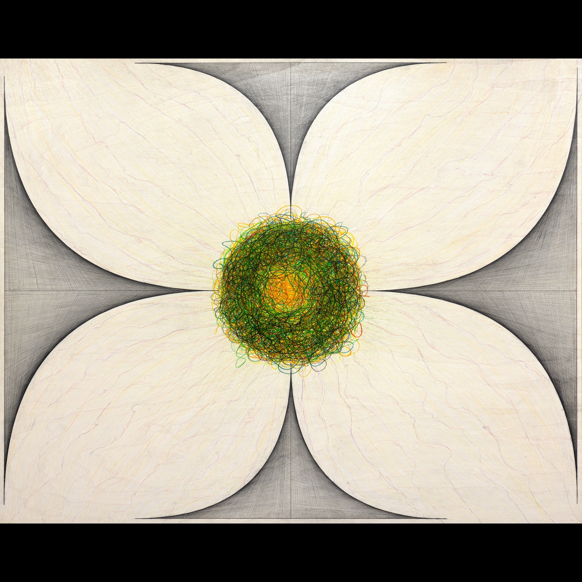 A large white flower with a green center.