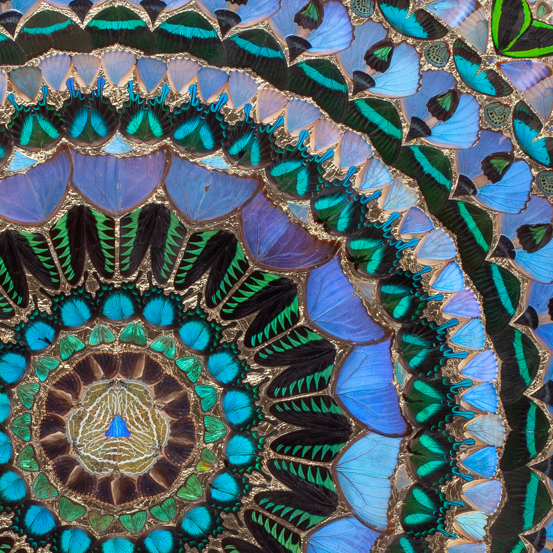 A spiral design with blue and green.