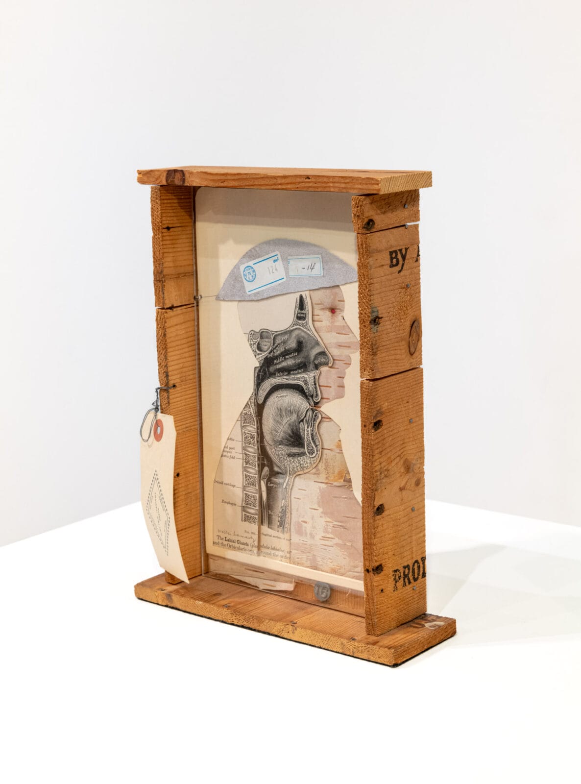 “To Narcissus Maddeningly Unembraceable” (Wisconsin Farmhand as Potential Erasmus). Artist: Walter Hamady. Date: 1990. Medium: mixed media.