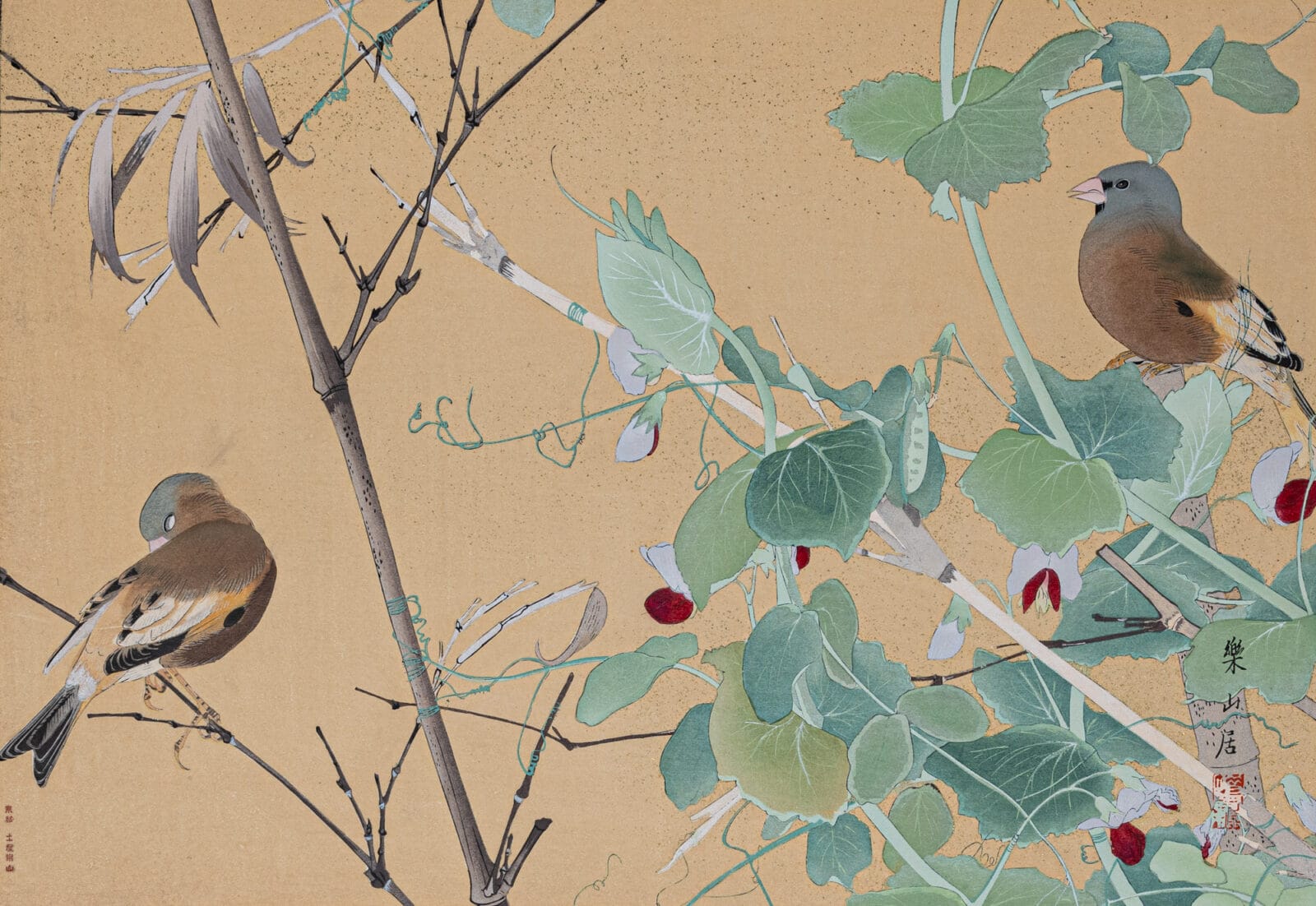 Birds at Pea Vines and Bamboo. Artist: Rakuzan Tsuchiya. Medium: woodblock.