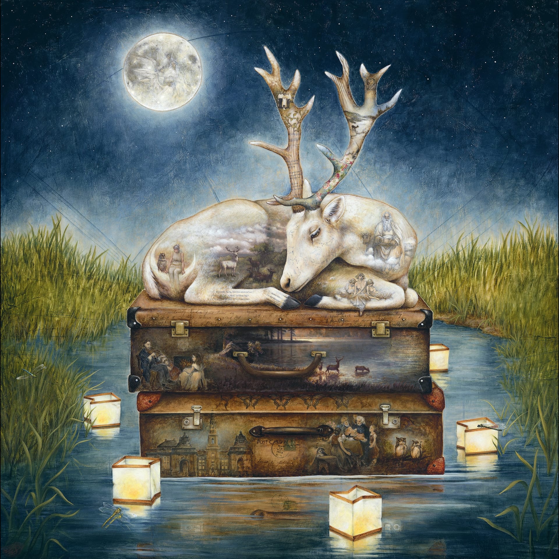 A deer on top of suit cases in a body of water.