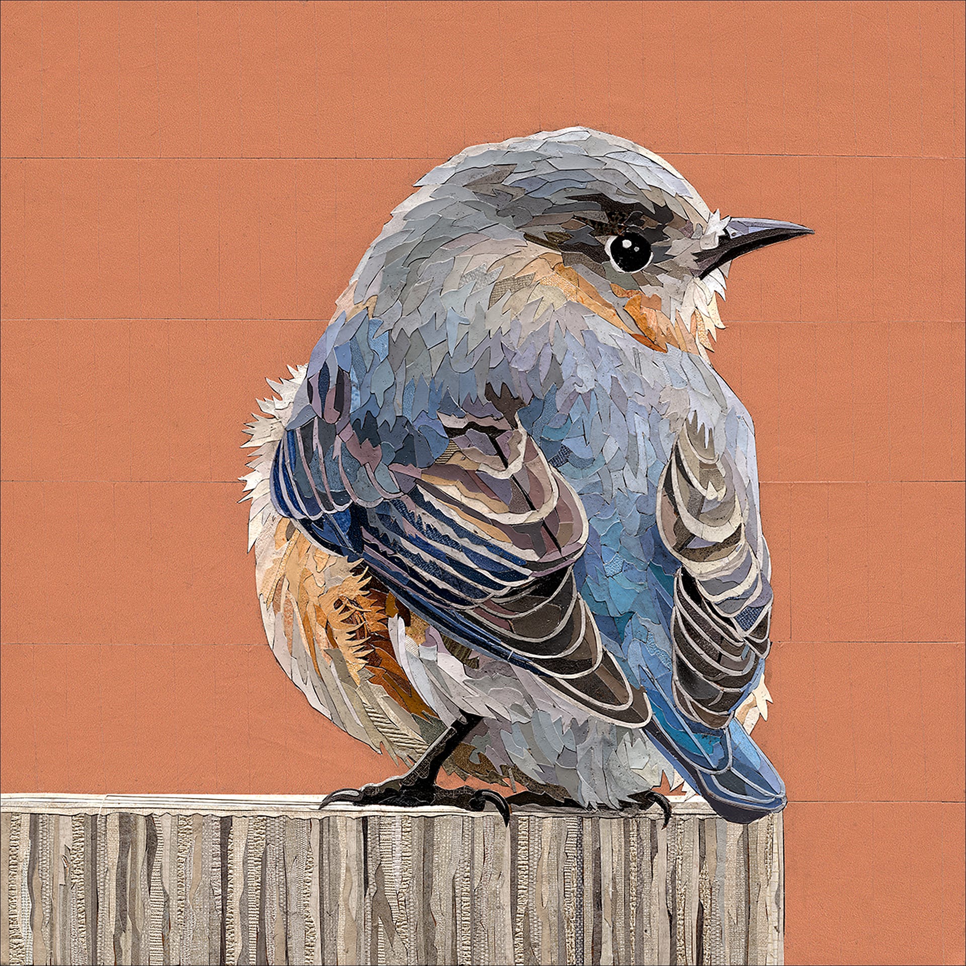 A blue bird on some wood.