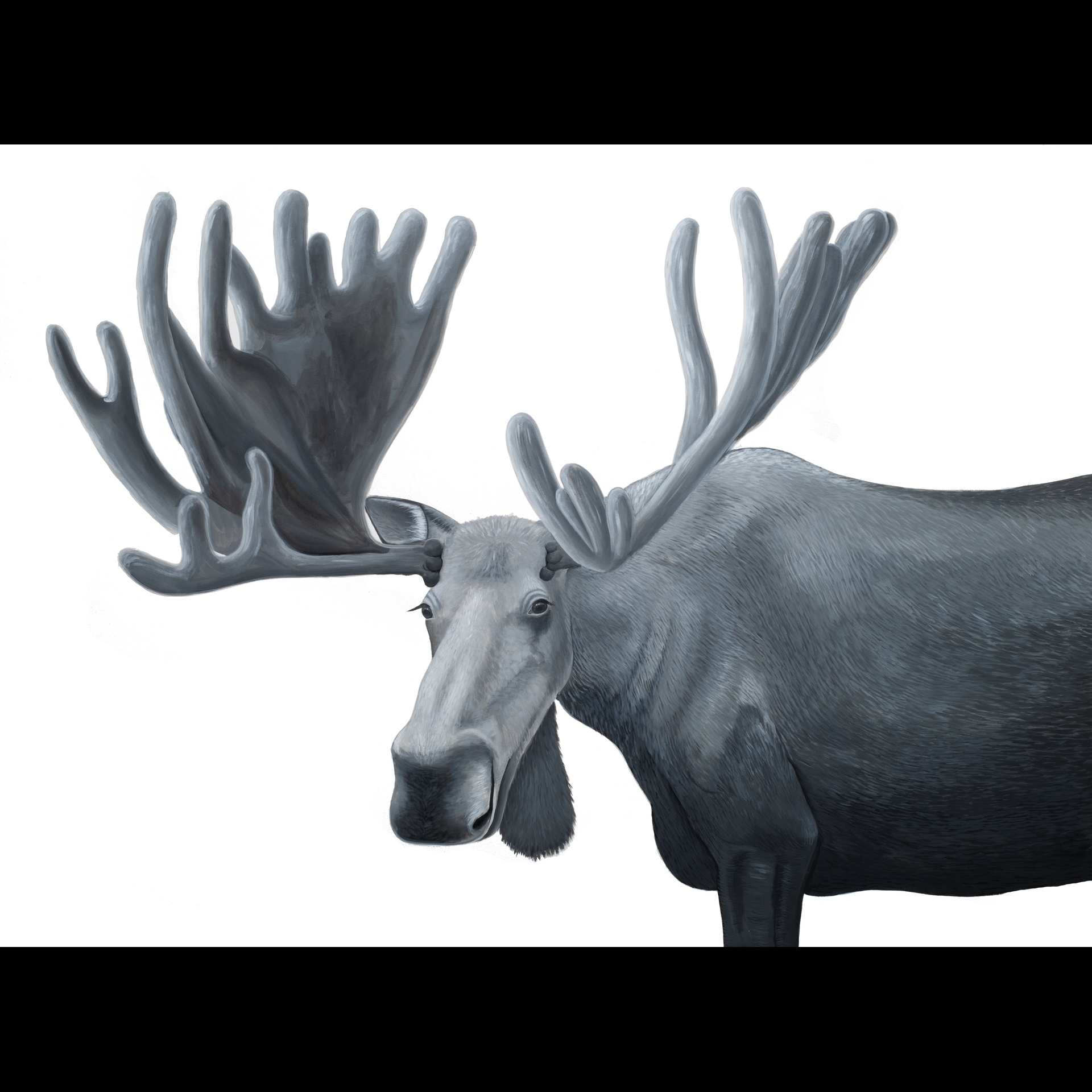 A black and white painting of a moose.