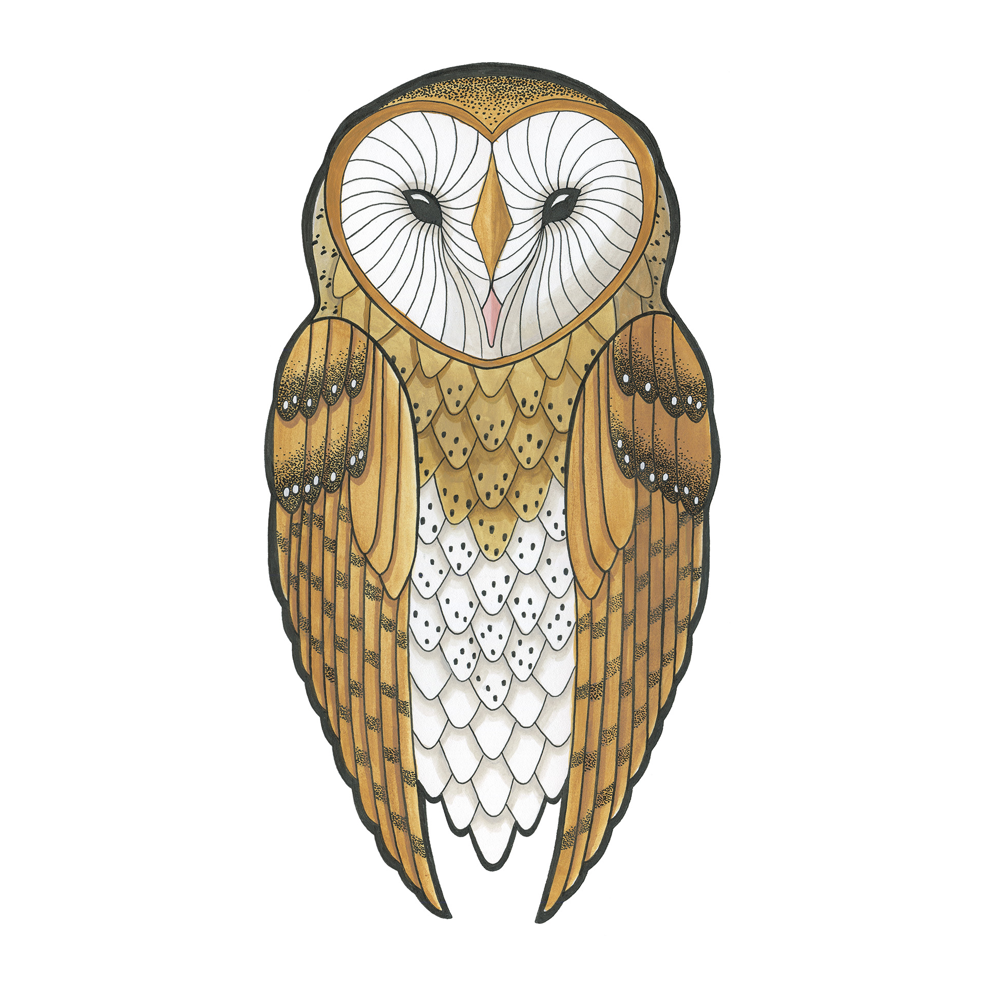 An owl illustration.