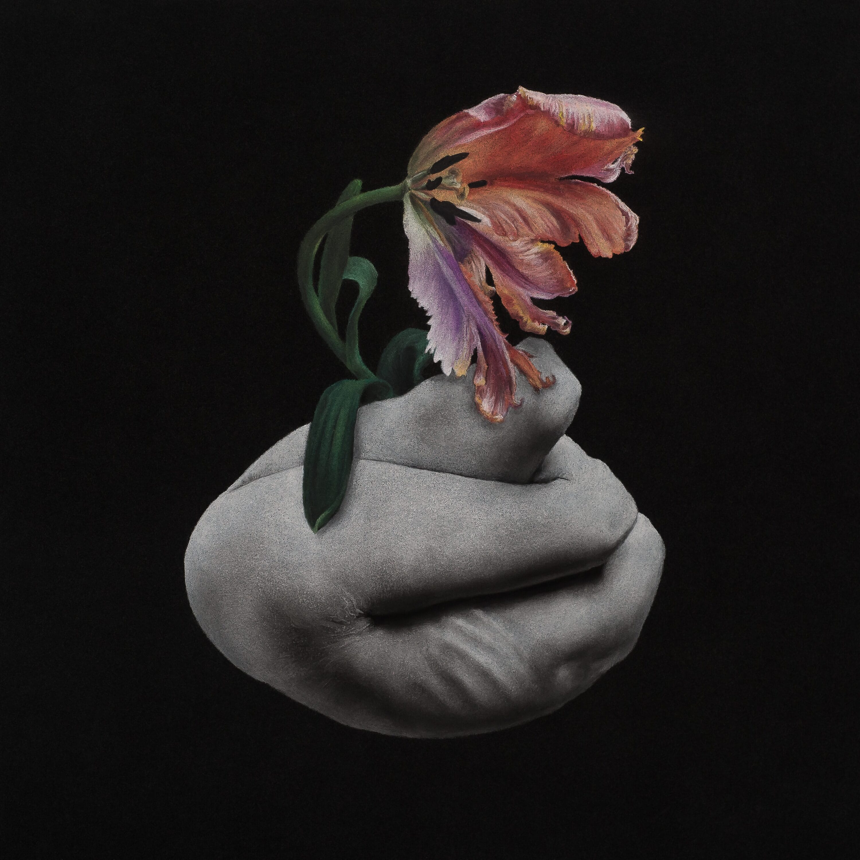 A hand holding a flower.