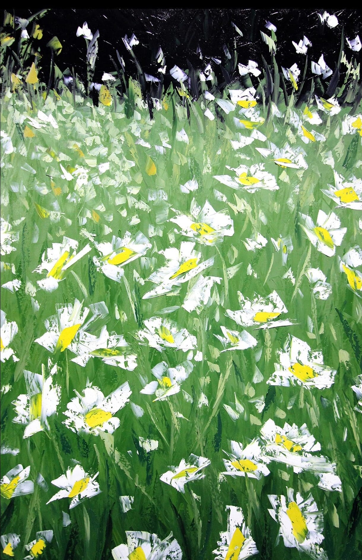 A field of flowers against a black background.