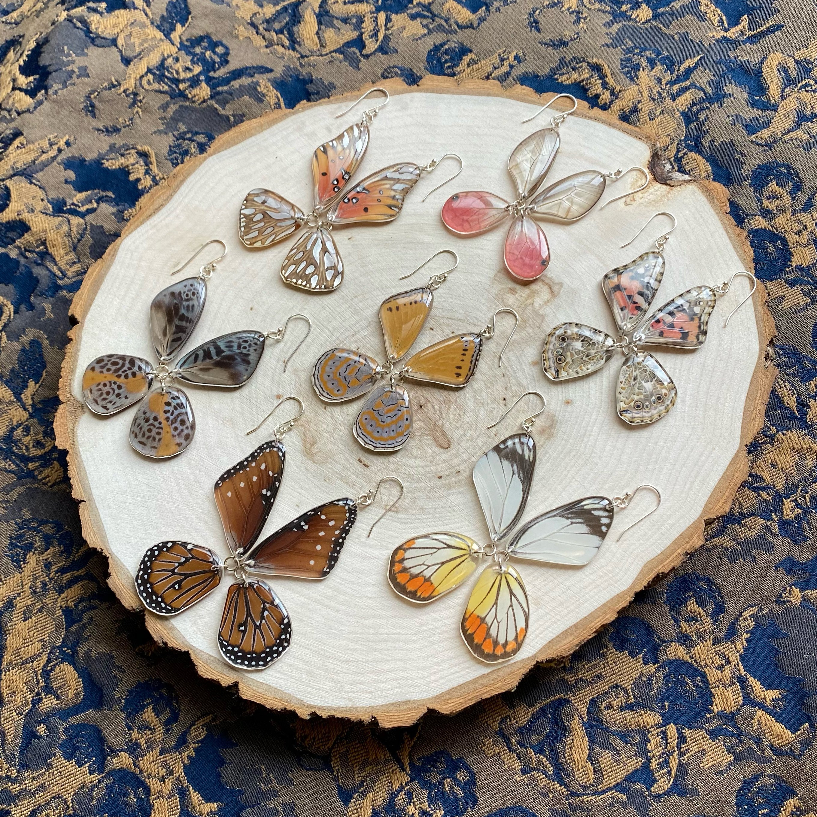 Bug wing earrings on wood.