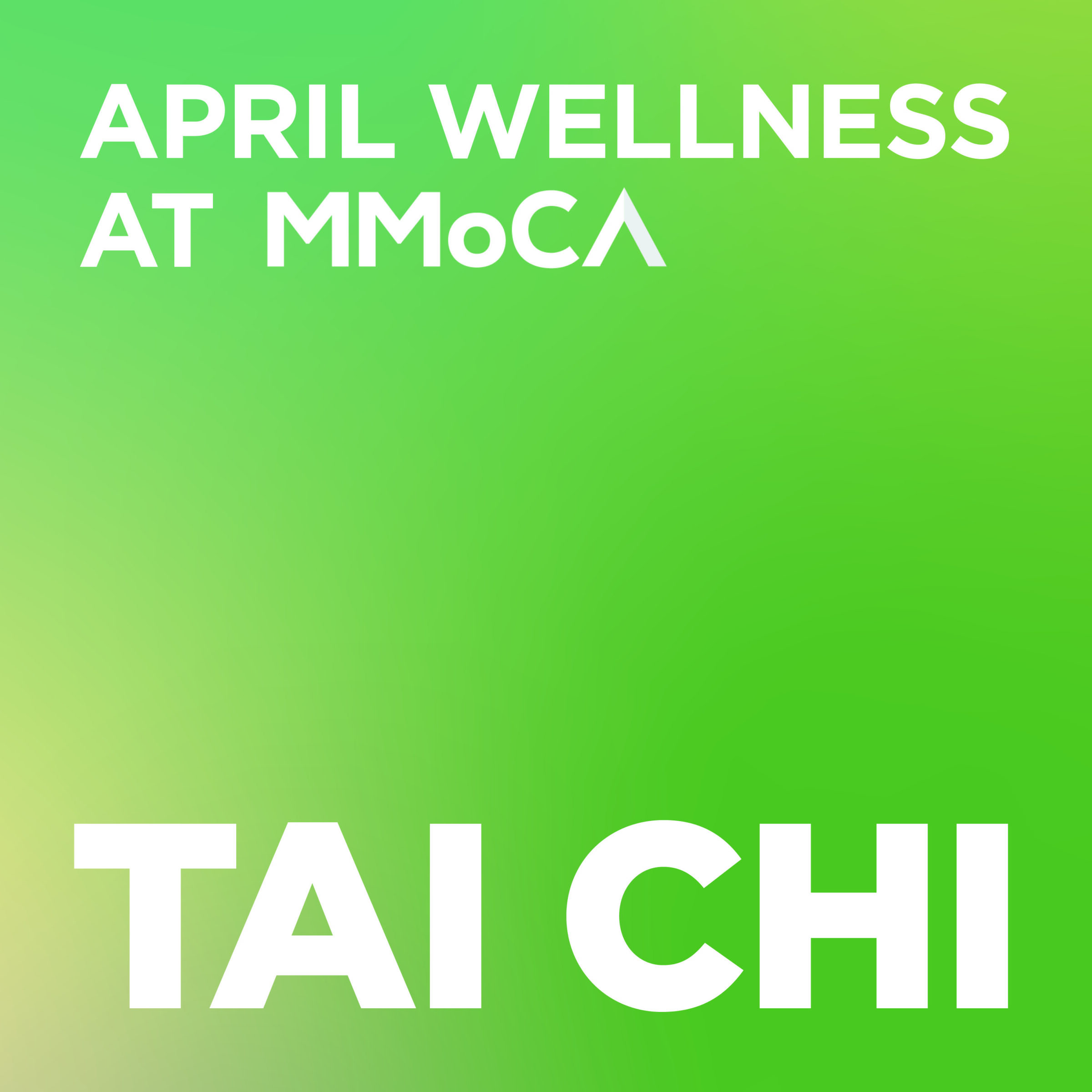 Tai Chi in the Galleries