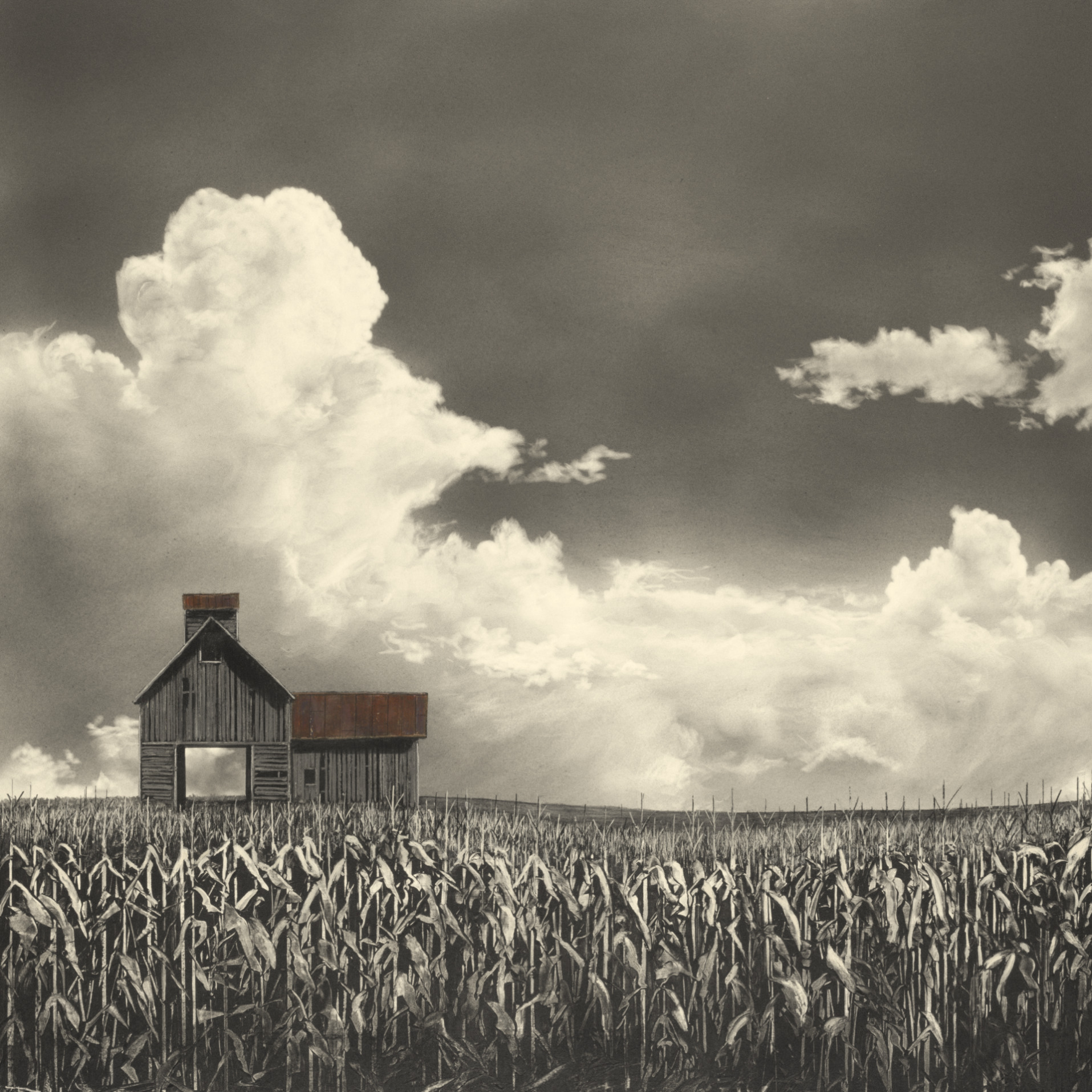 A house in a corn field.