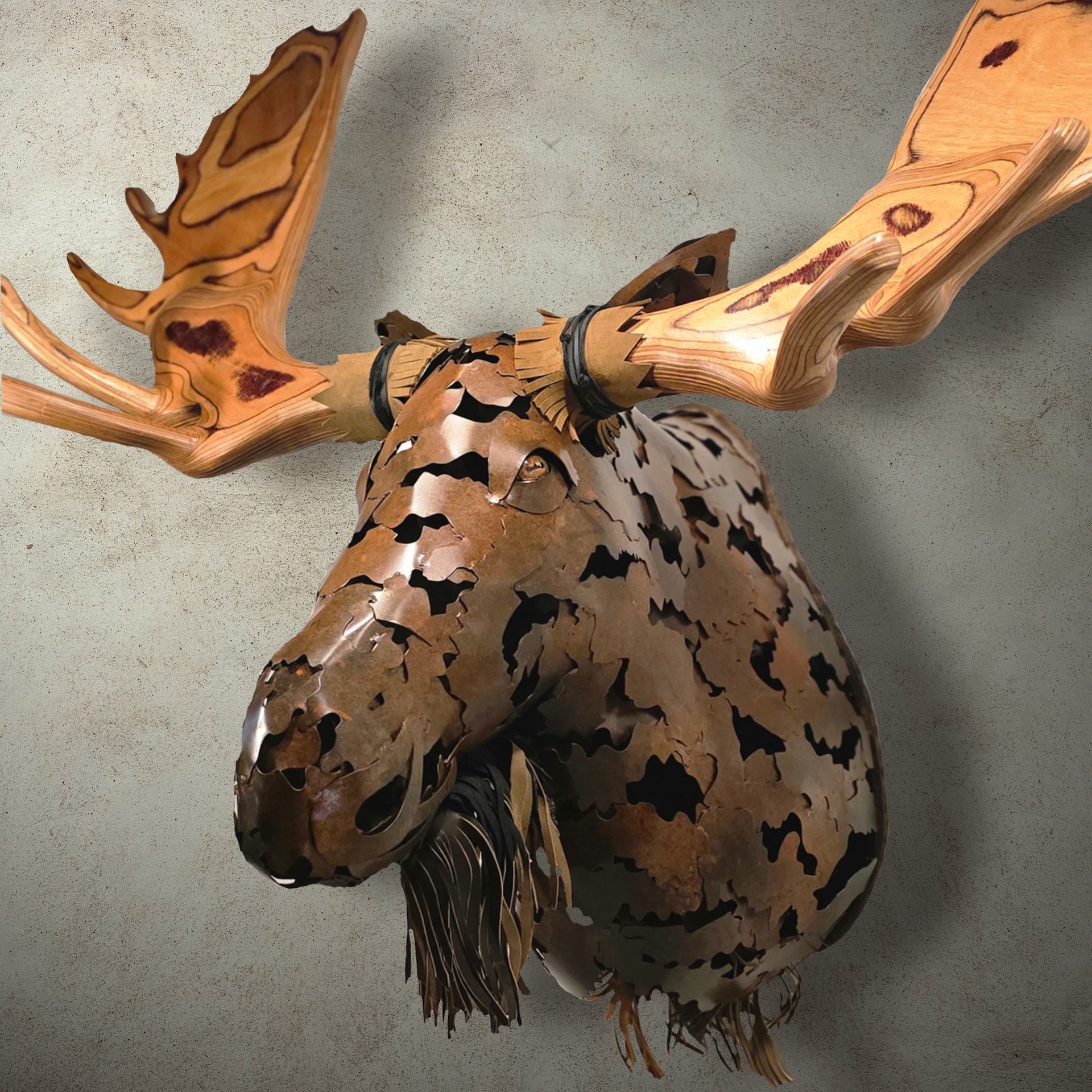 A bronze moose head.