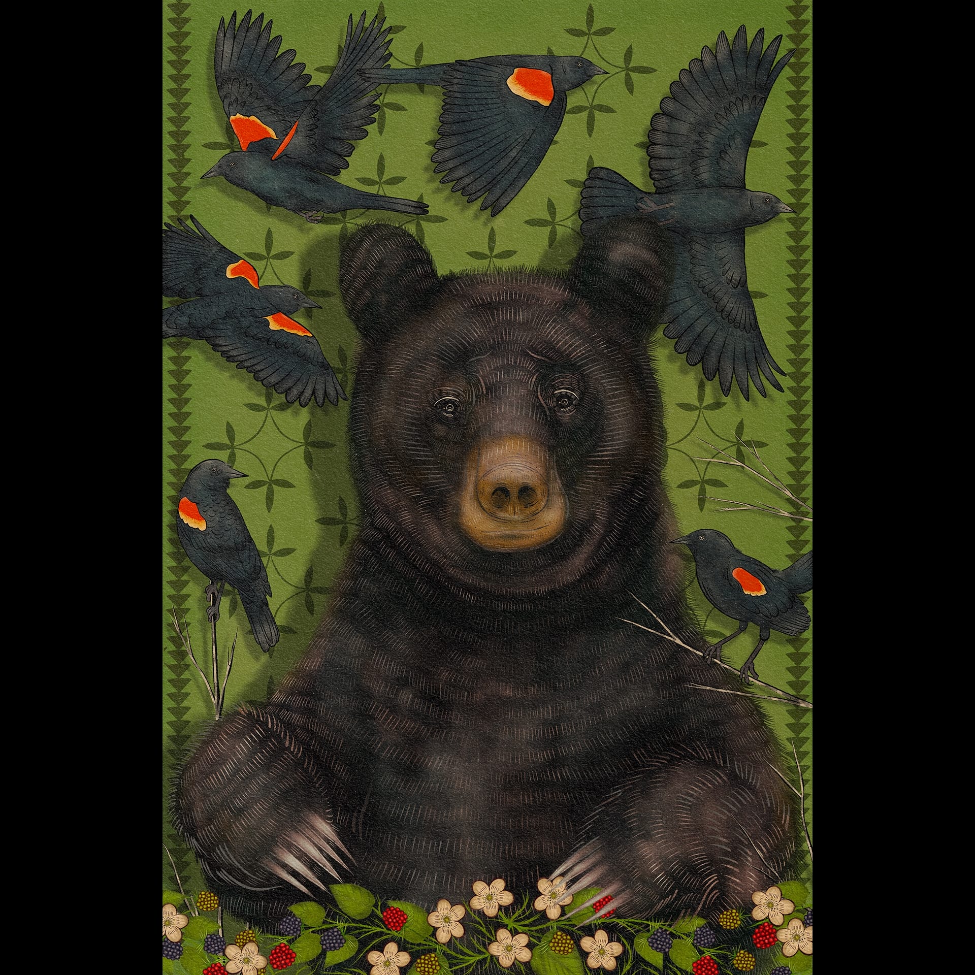 An illustration of a bear with red wing black birds behind it.
