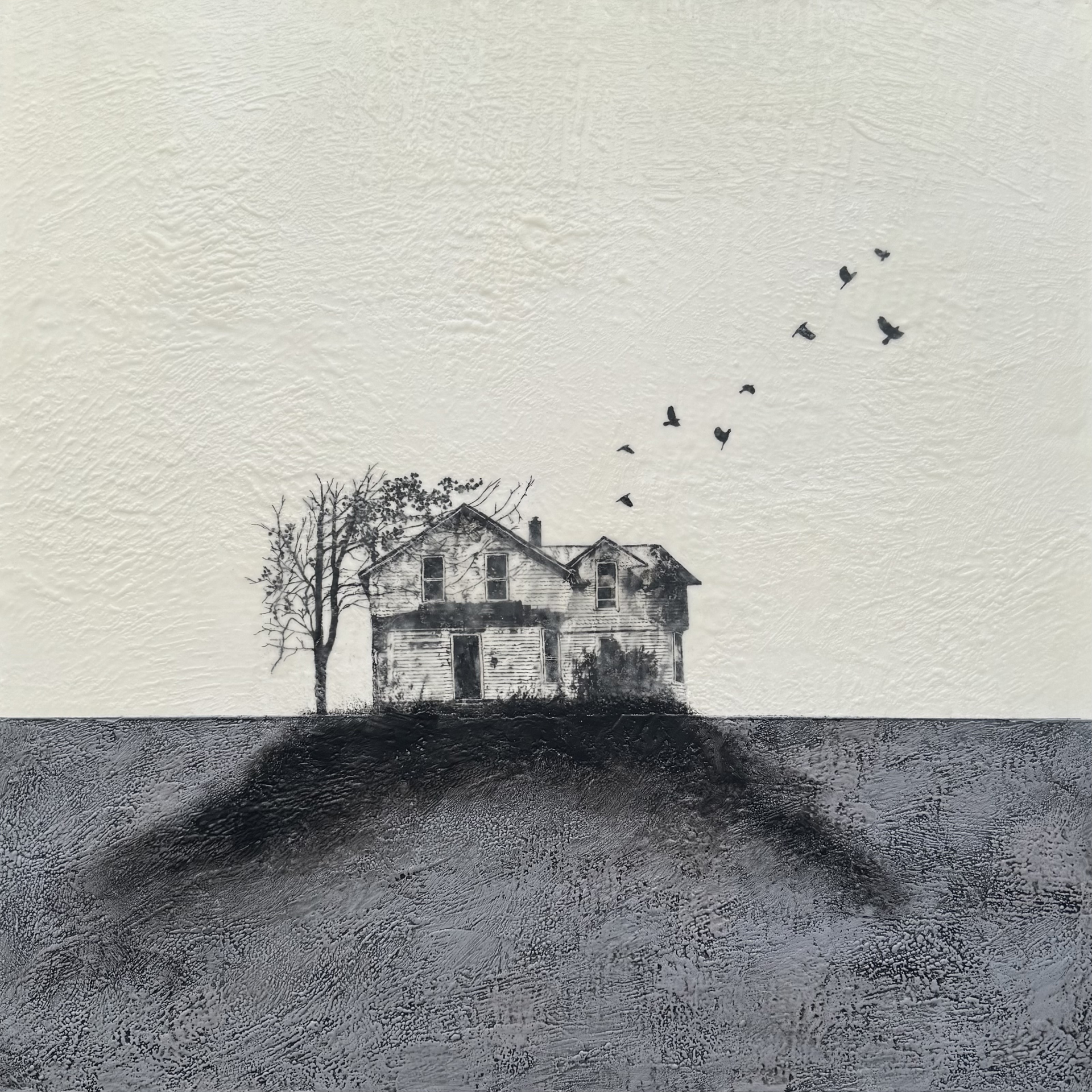 A black and white house on a hill with birds coming out of it.