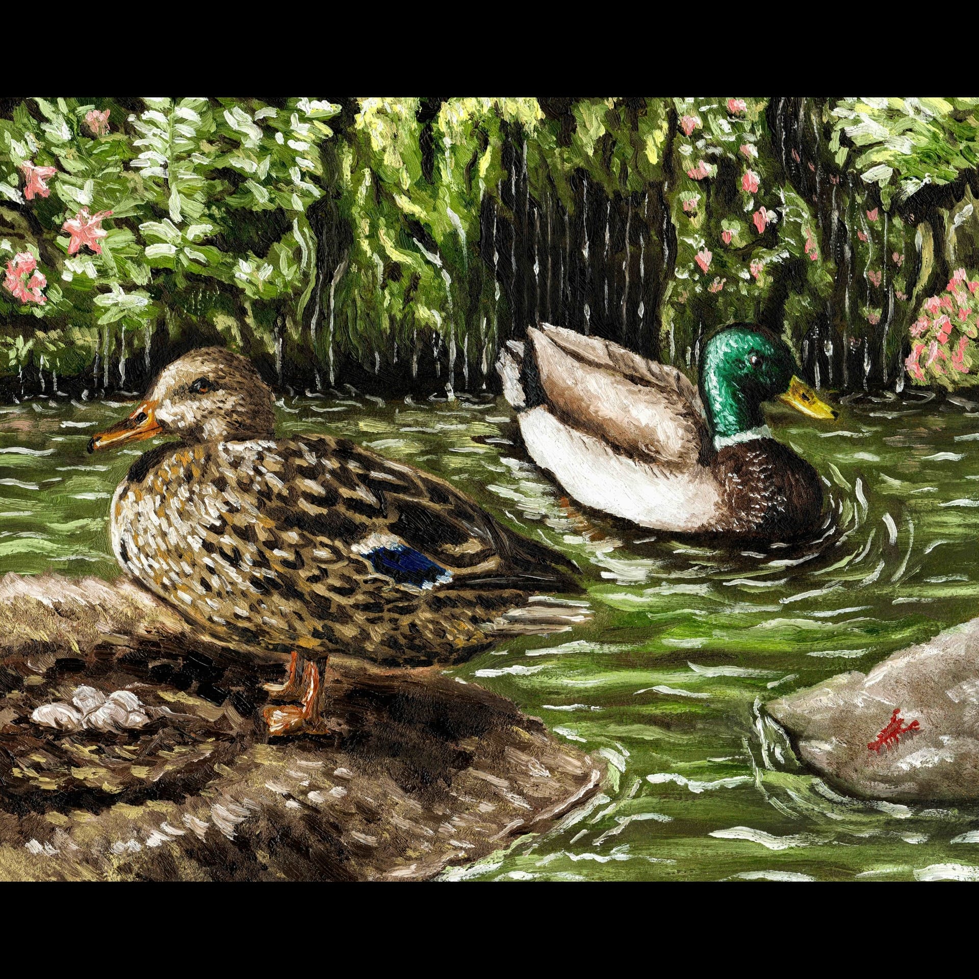 A drawing of two mallard ducks.
