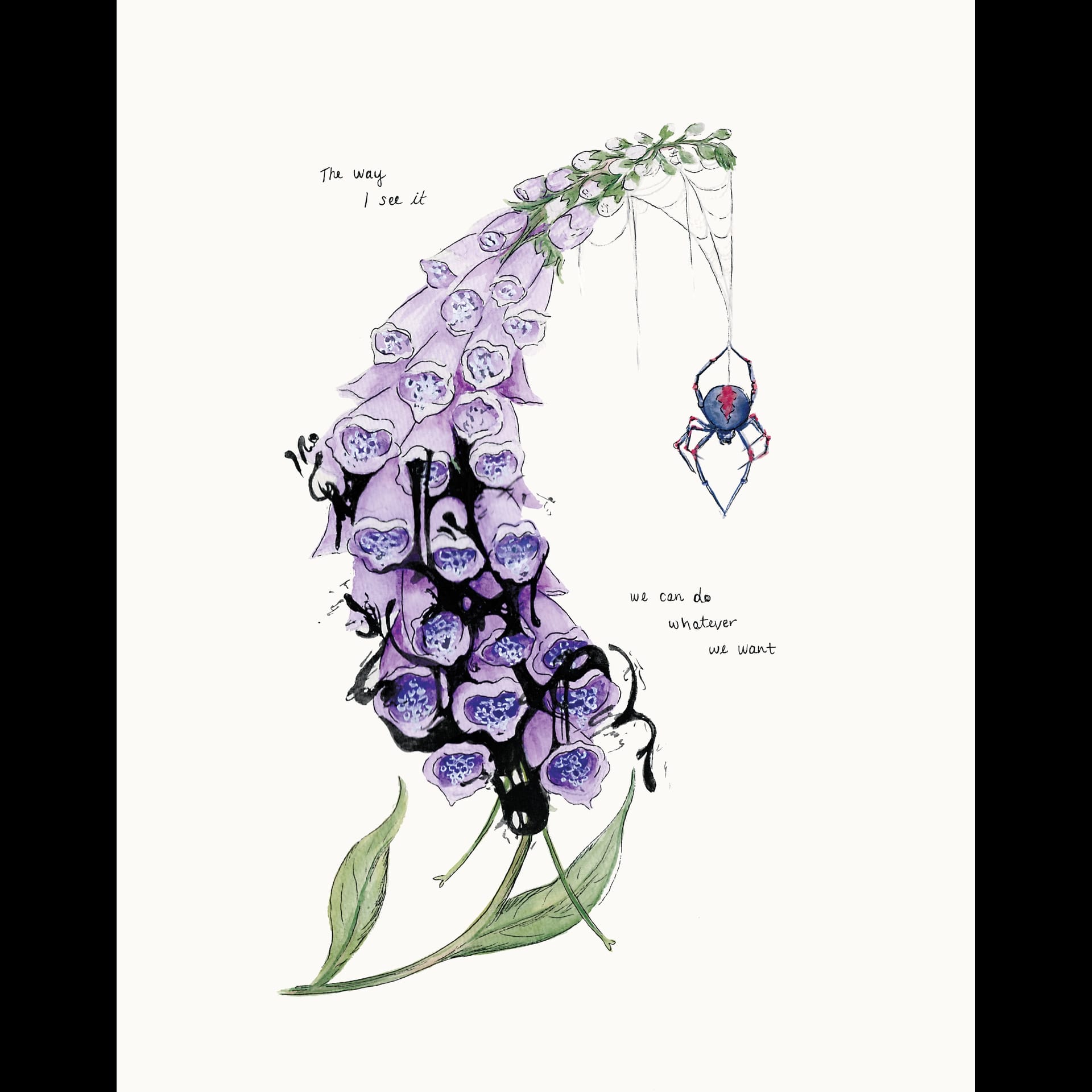 An illustration of flowers and a spider.