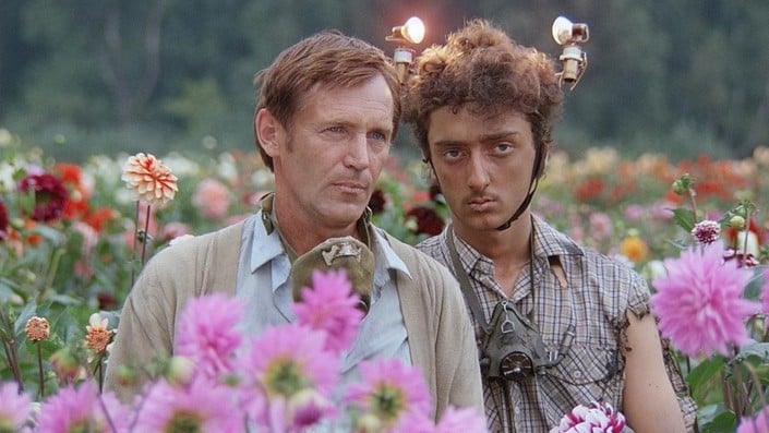 Two men standing in a felid of flowers.