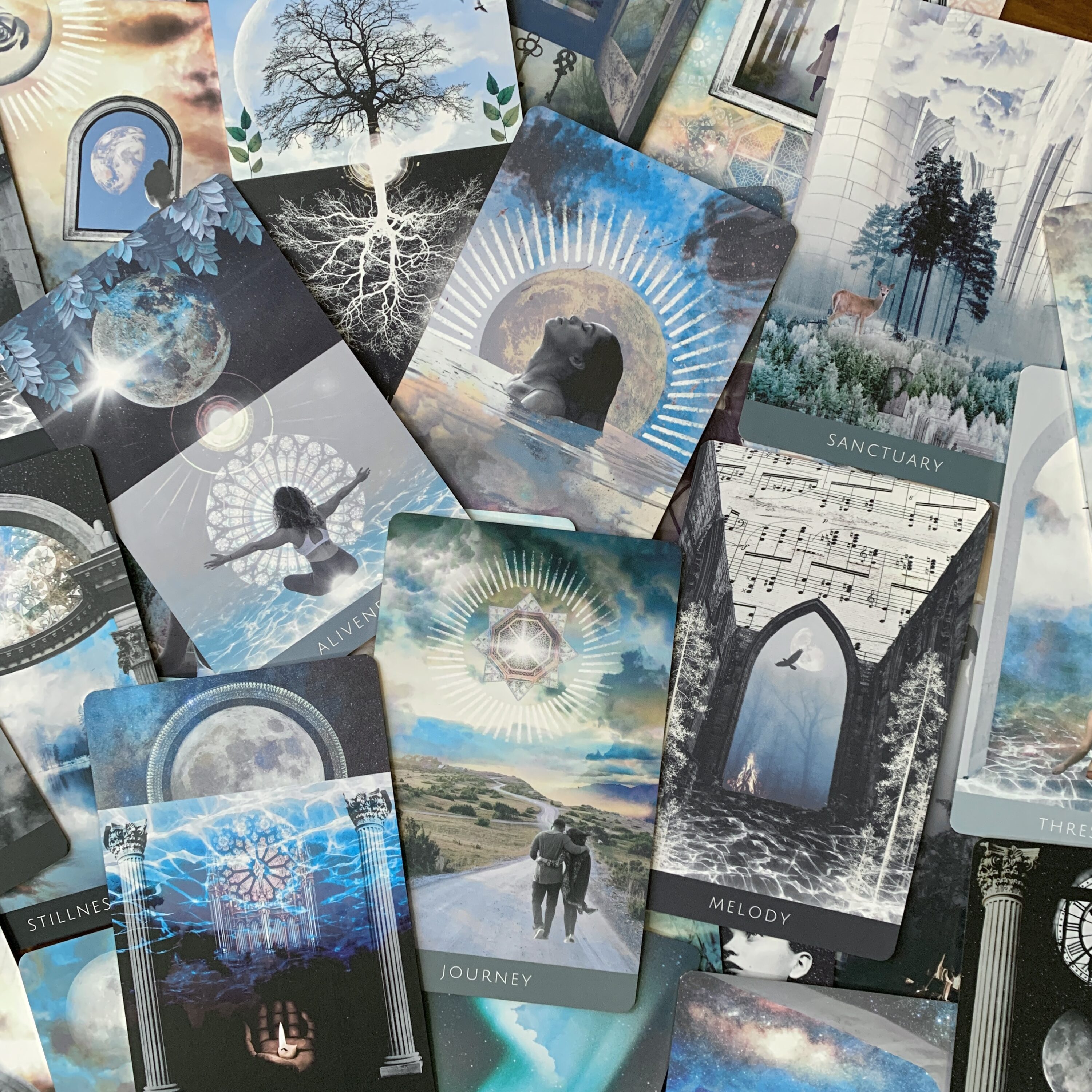 Many artworks in black, white and blue.