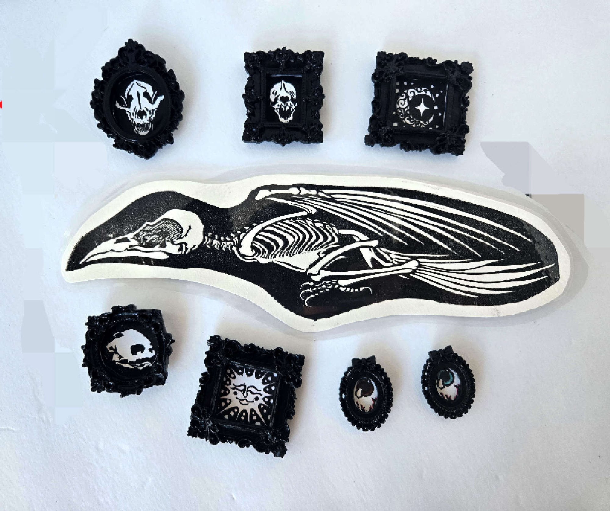 Many prints of animal bones.